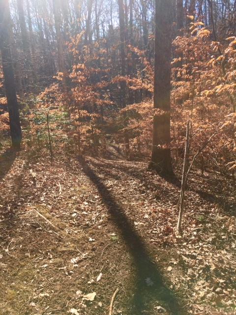823 Mason Road Vinton, VA 24179 - Photo 37 of 47 Property