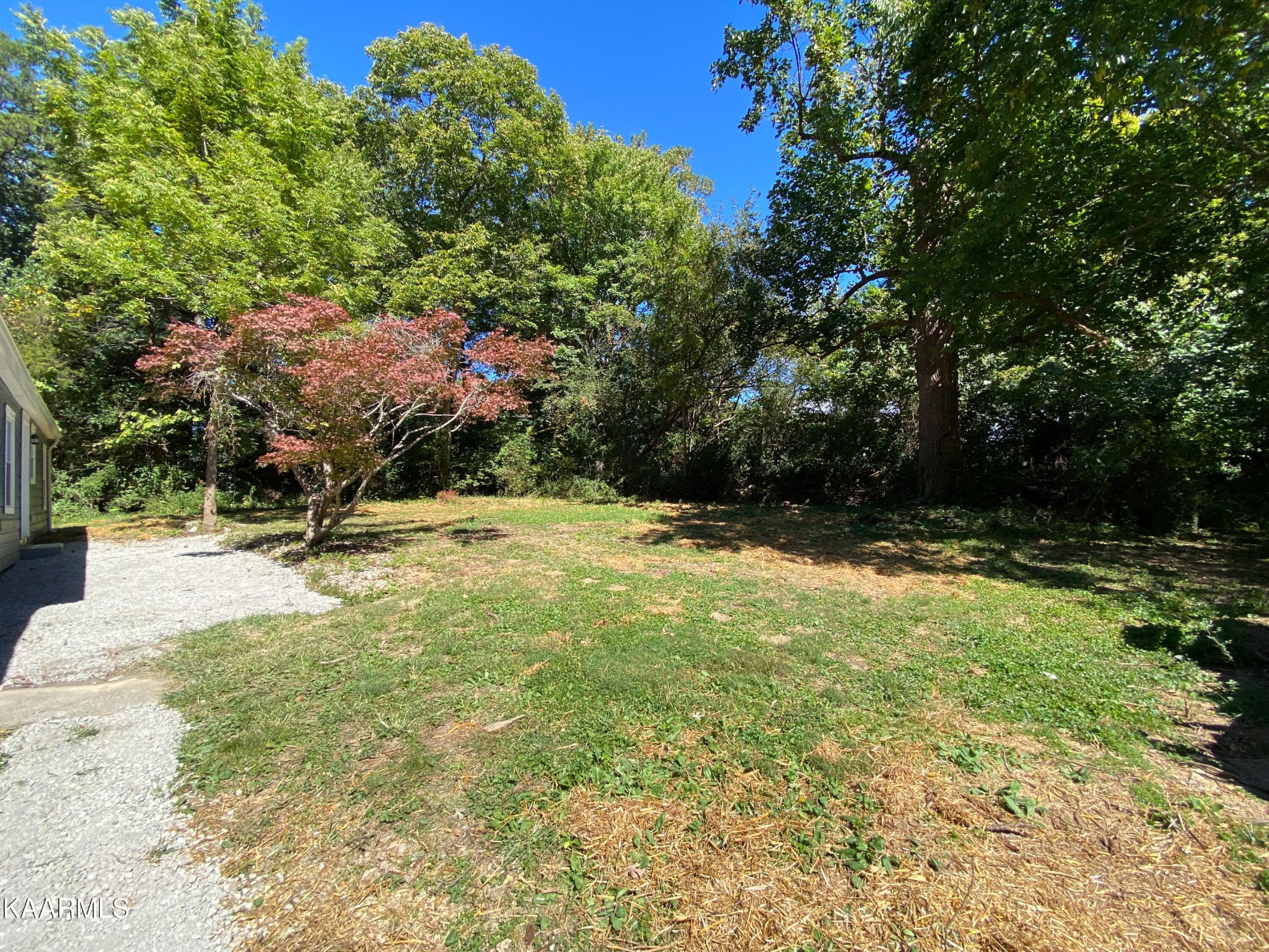 3124 Dewine Road Knoxville, TN 37921 - Photo 11 of 42 Gallery Image 11