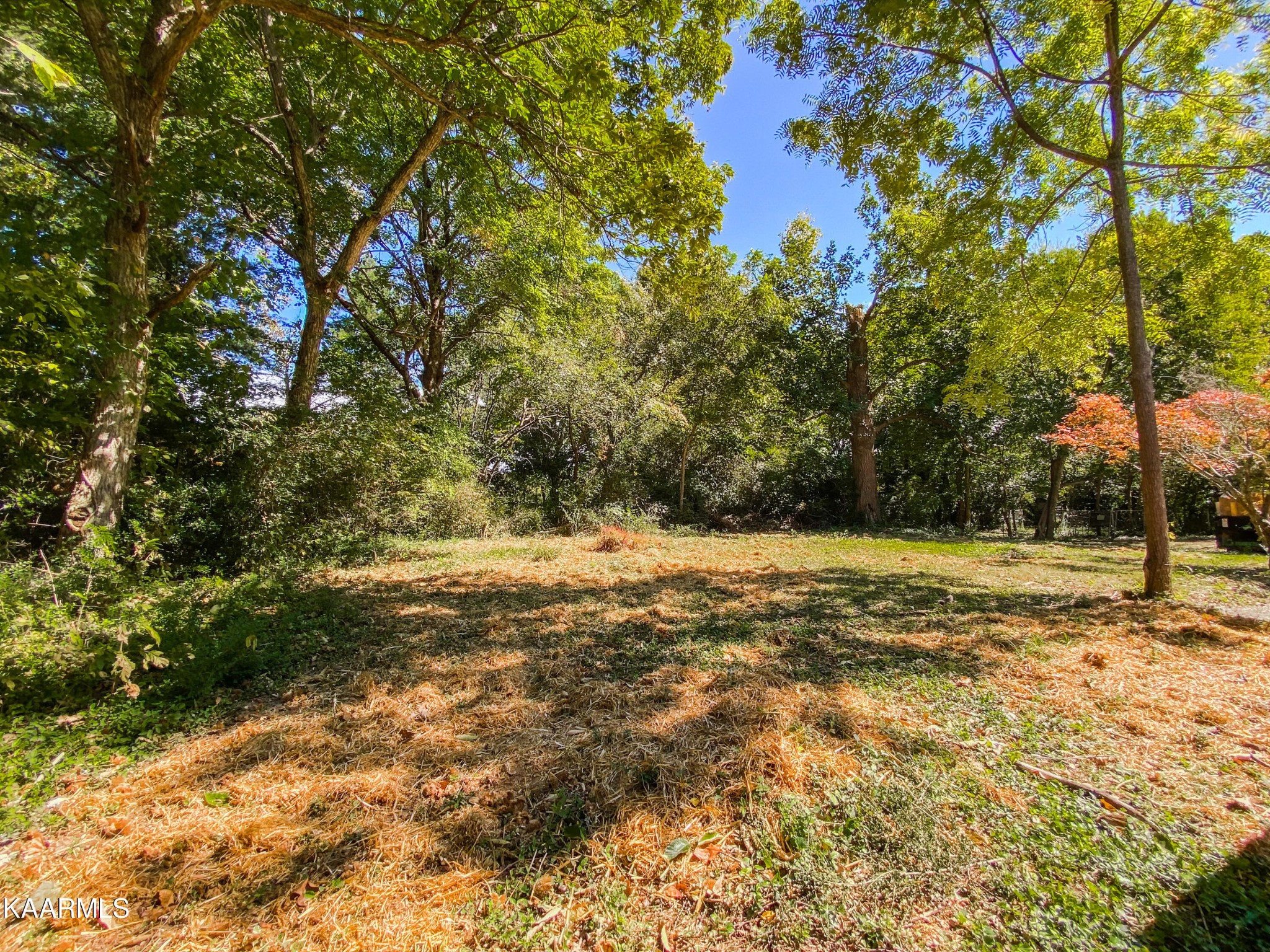 3124 Dewine Road Knoxville, TN 37921 - Photo 12 of 42 Gallery Image 12