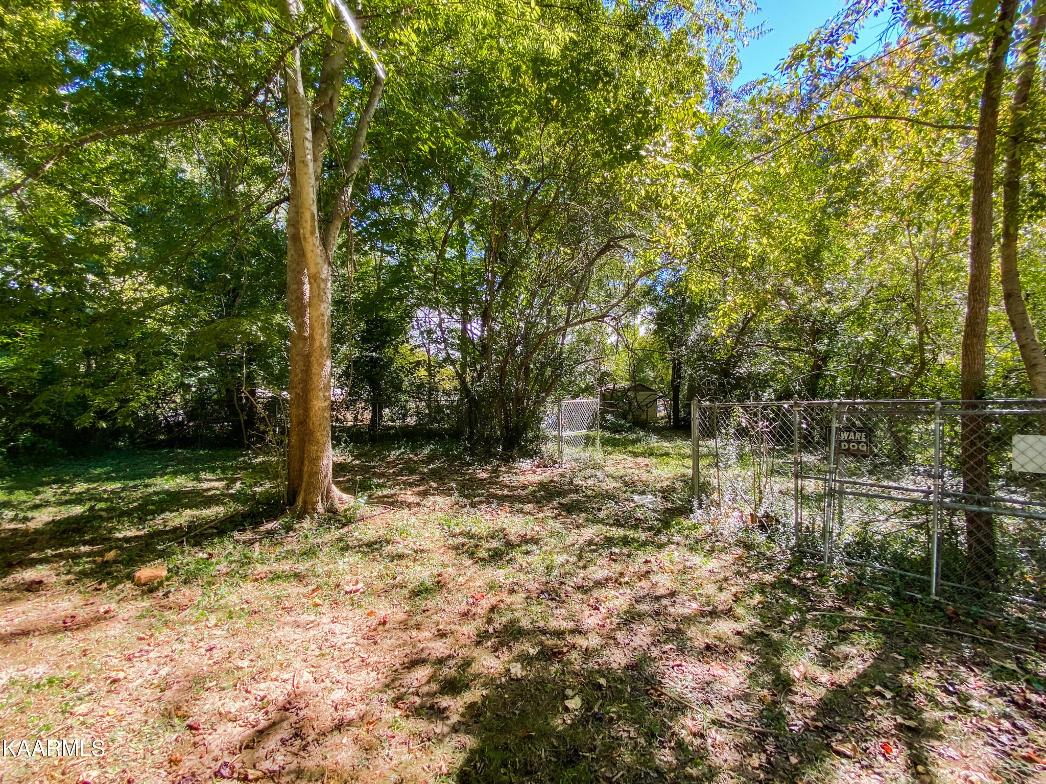 3124 Dewine Road Knoxville, TN 37921 - Photo 13 of 42 Gallery Image 13