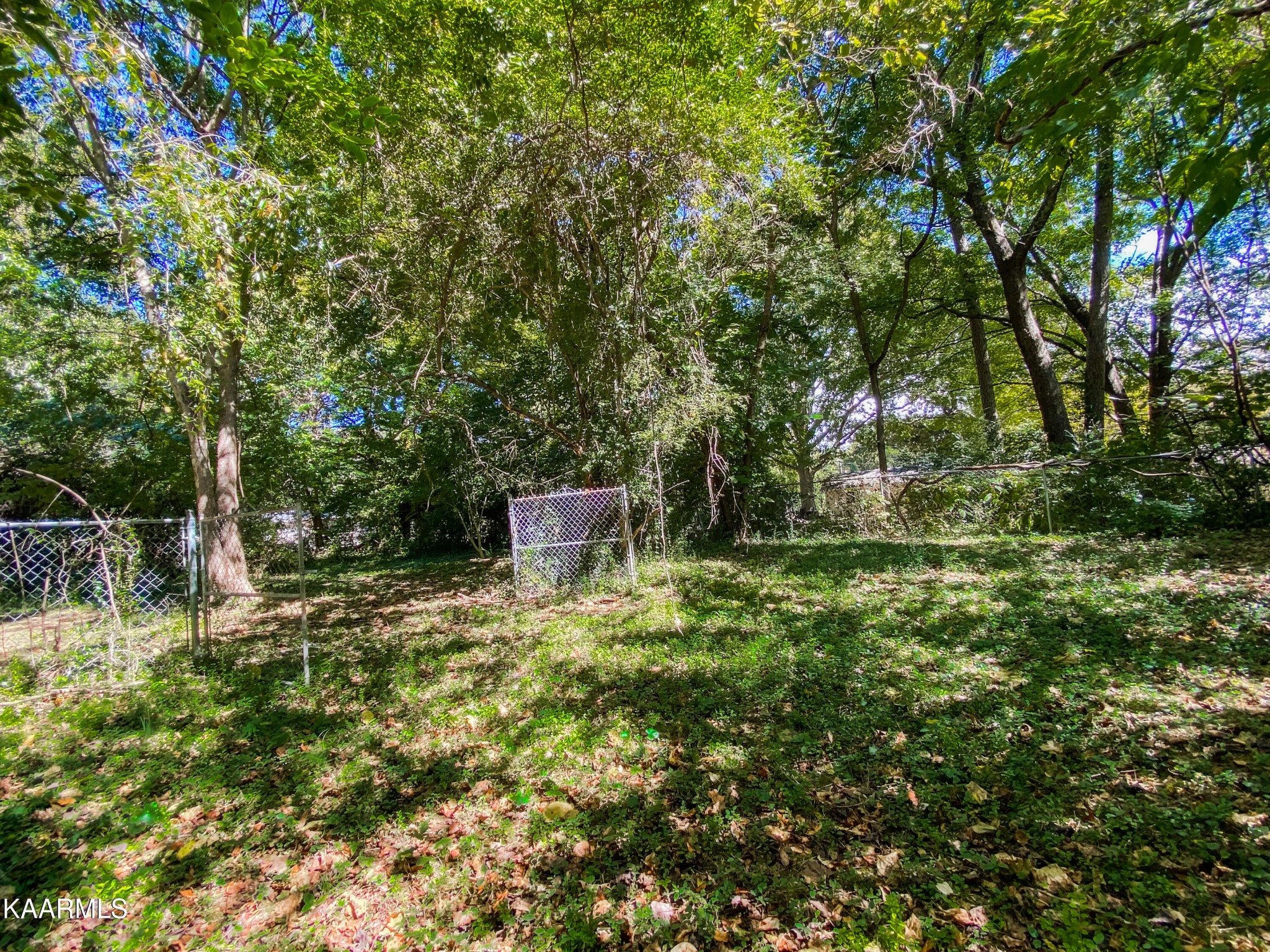 3124 Dewine Road Knoxville, TN 37921 - Photo 14 of 42 Gallery Image 14
