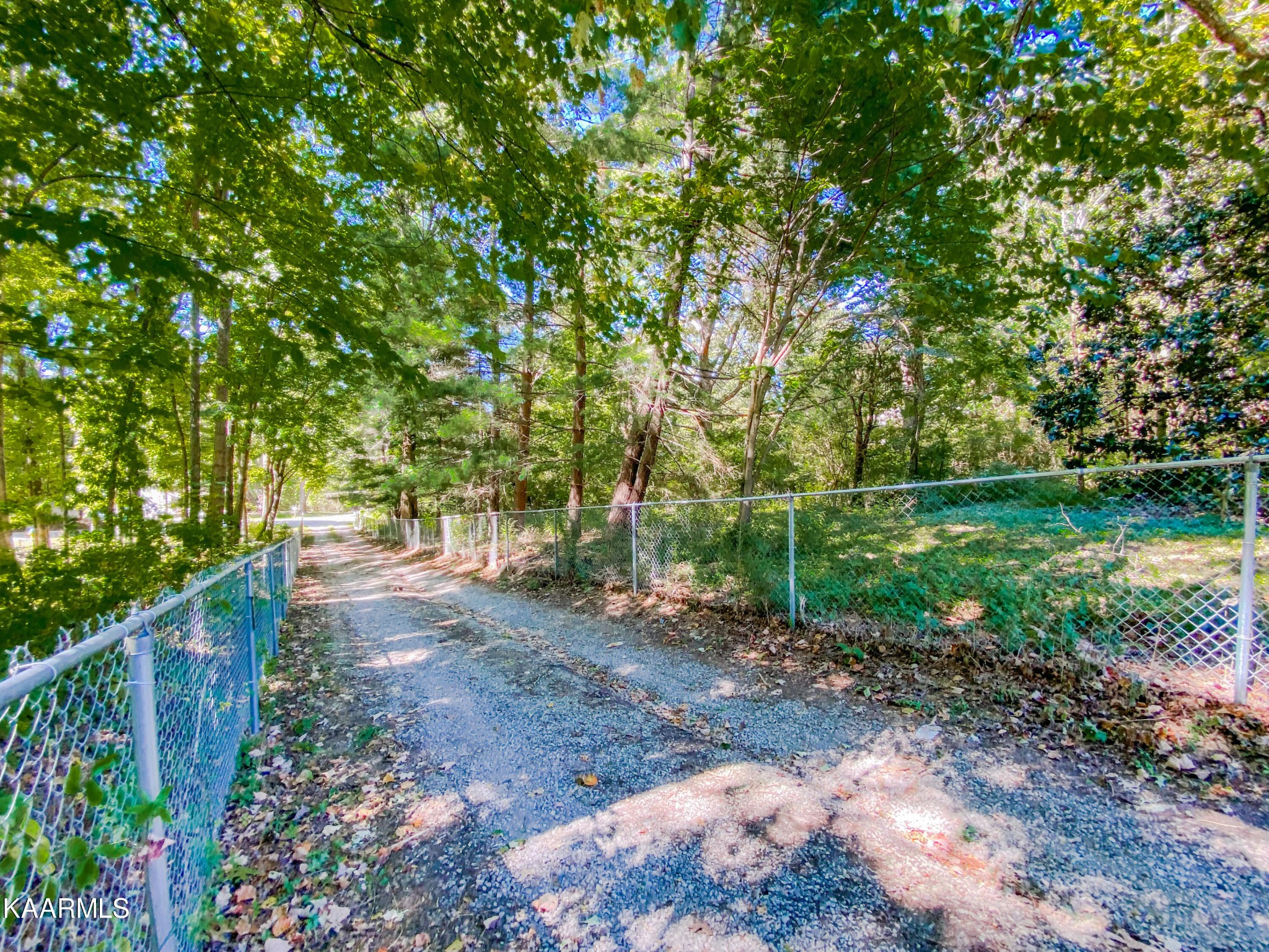 3124 Dewine Road Knoxville, TN 37921 - Photo 15 of 42 Gallery Image 15