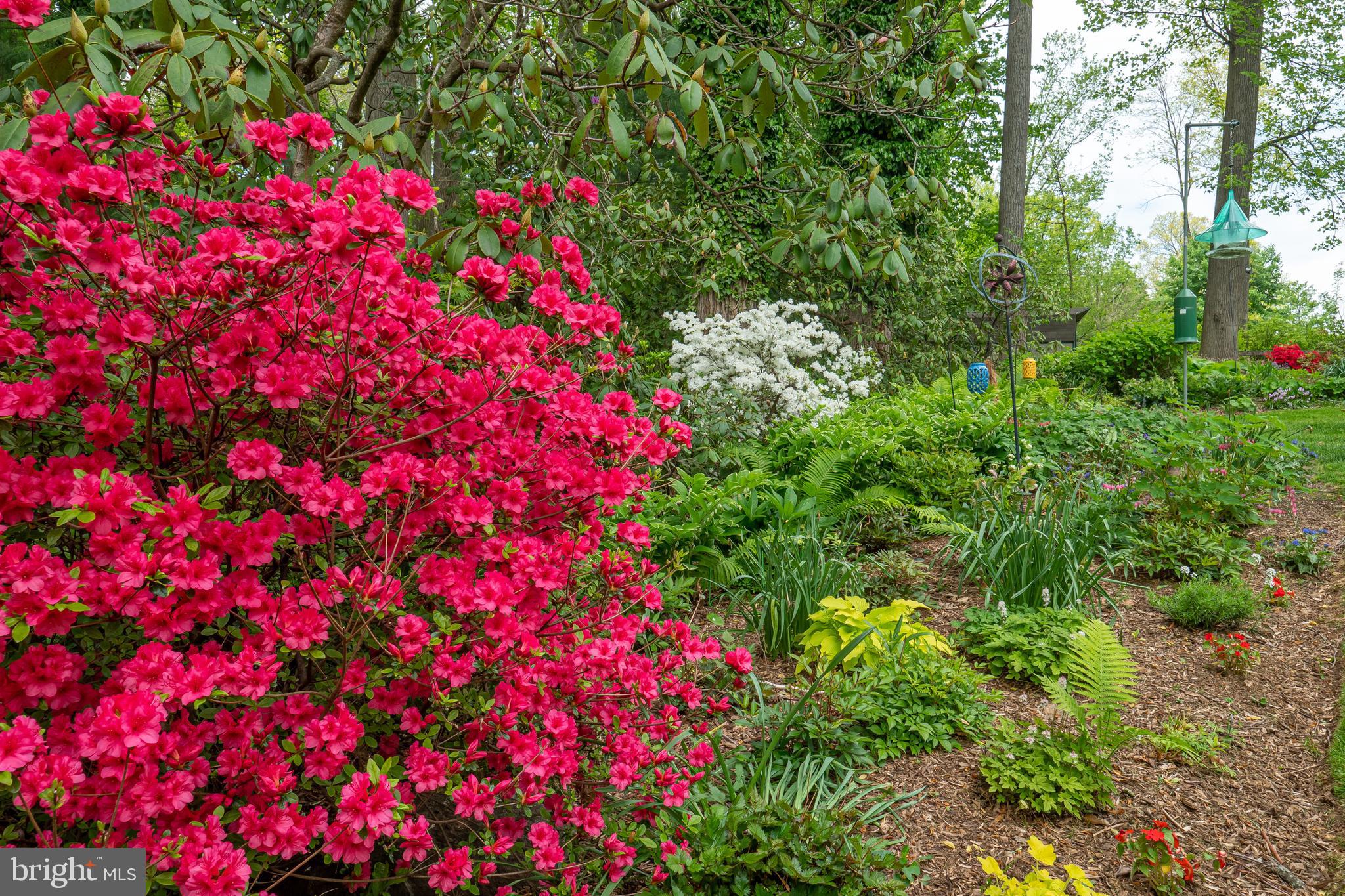 2104 Fox Creek Road Berwyn, PA 19312 - Photo 86 of 97 Beautiful flowering plants and garden areas