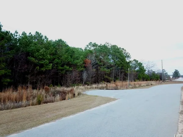 $99,500 | 76 West Marion Sc 29571, Marion, SC 29571