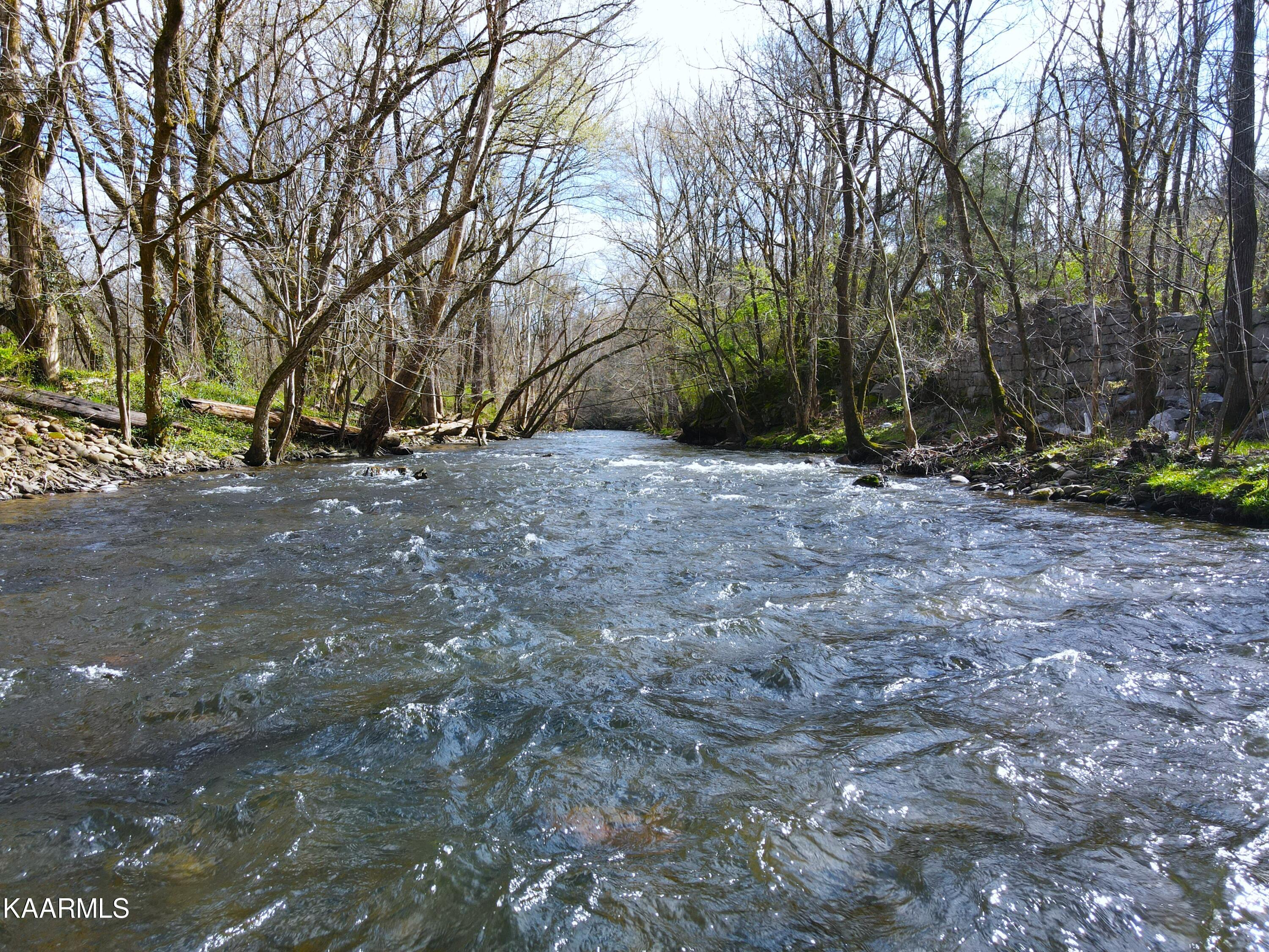Hollow Road Cosby, TN 37722 - Photo 1 of 2 31
