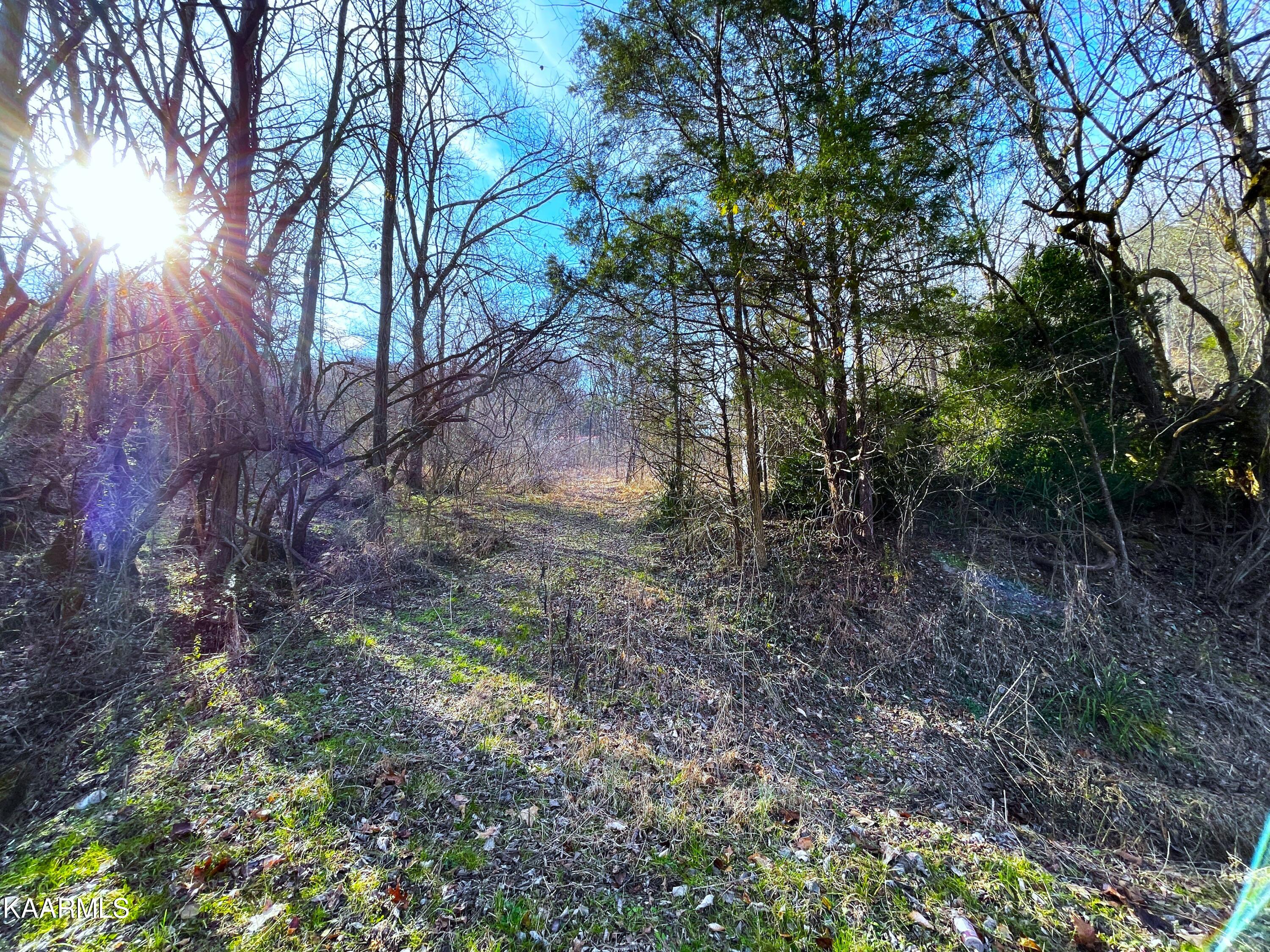Hollow Road Cosby, TN 37722 - Photo 2 of 2 1