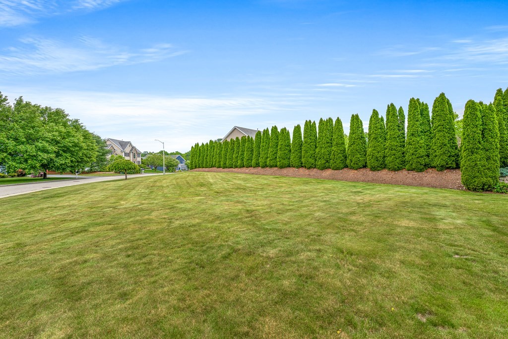 8 Rons Way Framingham, MA 01701 - Photo 28 of 33 a view of a field with an trees in the background
