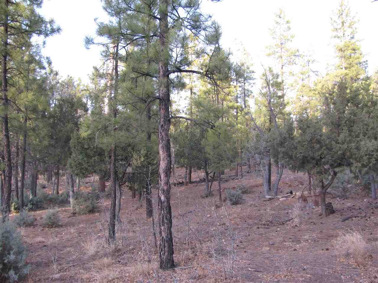 837 West Rim Road Pinetop, AZ 85935 - Photo 1 of 13 Gallery Image 1