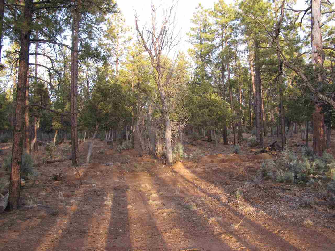 837 West Rim Road Pinetop, AZ 85935 - Photo 11 of 13 Gallery Image 11