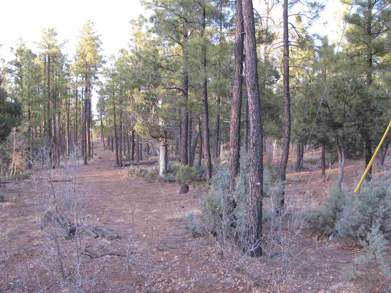 837 West Rim Road Pinetop, AZ 85935 - Photo 12 of 13 Gallery Image 12