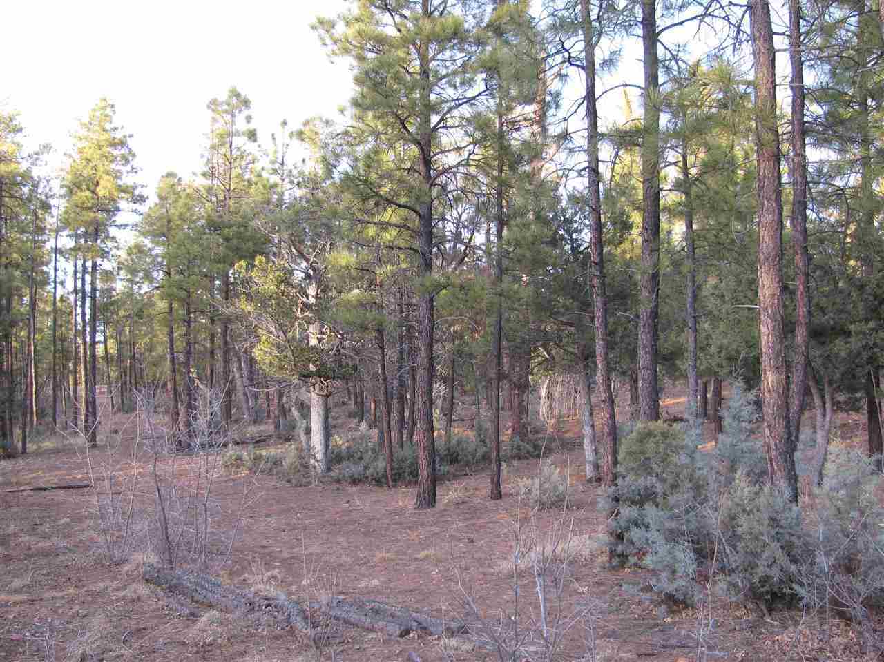 837 West Rim Road Pinetop, AZ 85935 - Photo 13 of 13 Gallery Image 13