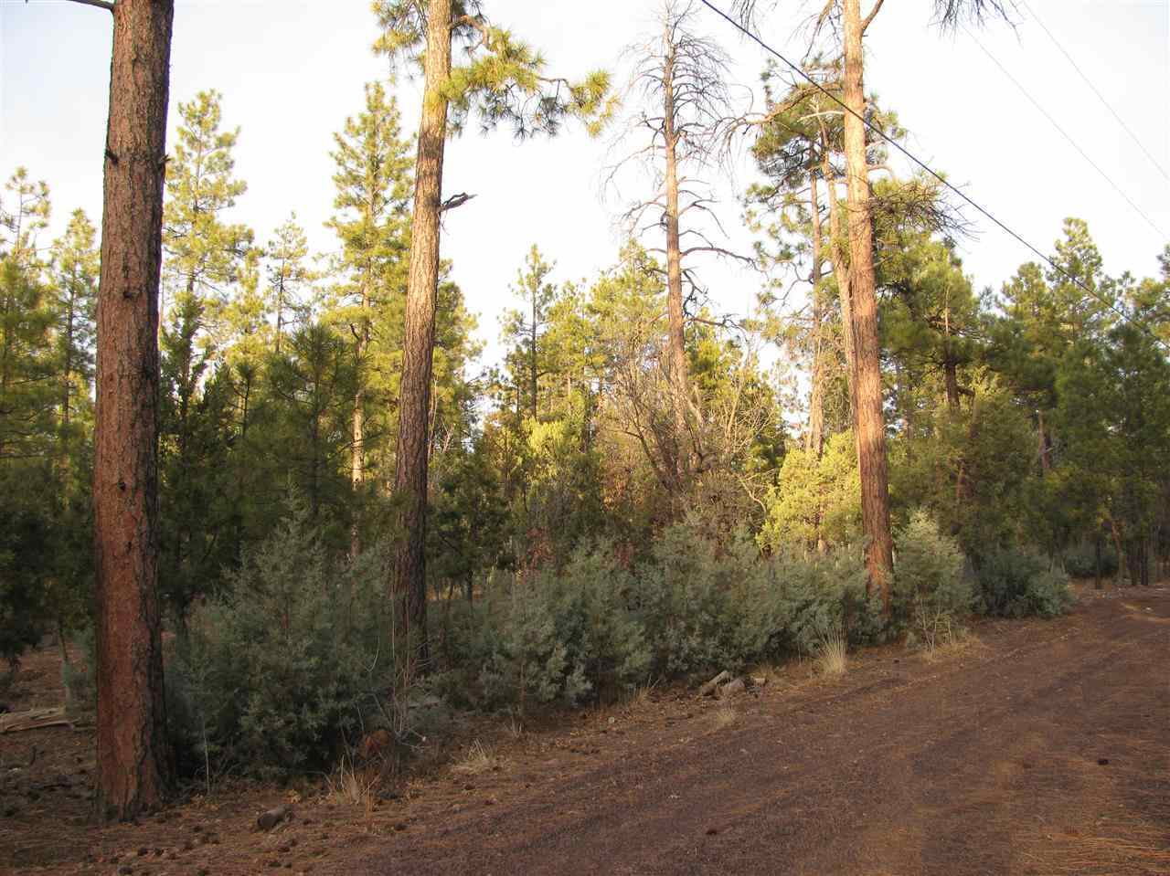 837 West Rim Road Pinetop, AZ 85935 - Photo 2 of 13 Gallery Image 2