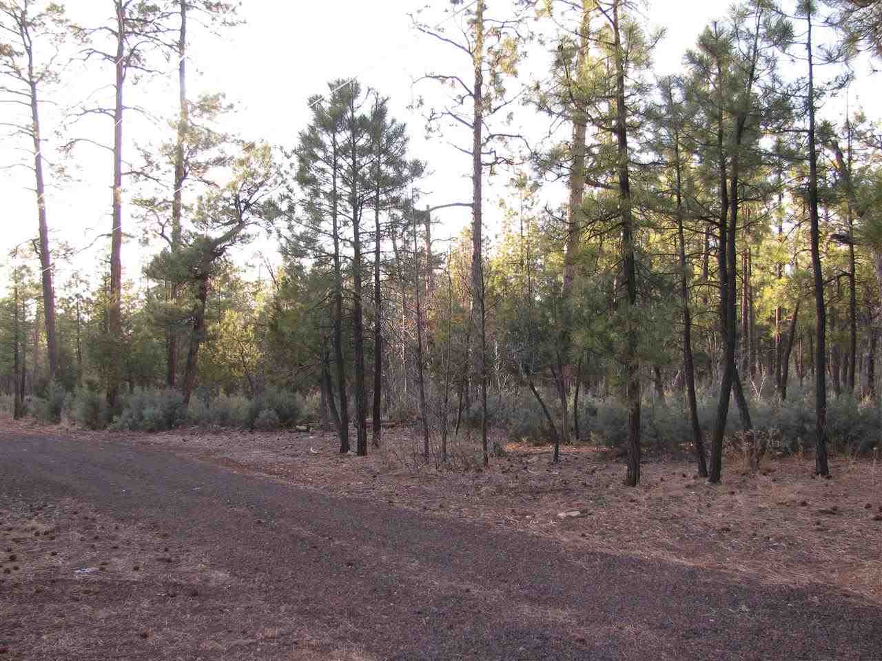 837 West Rim Road Pinetop, AZ 85935 - Photo 3 of 13 Gallery Image 3