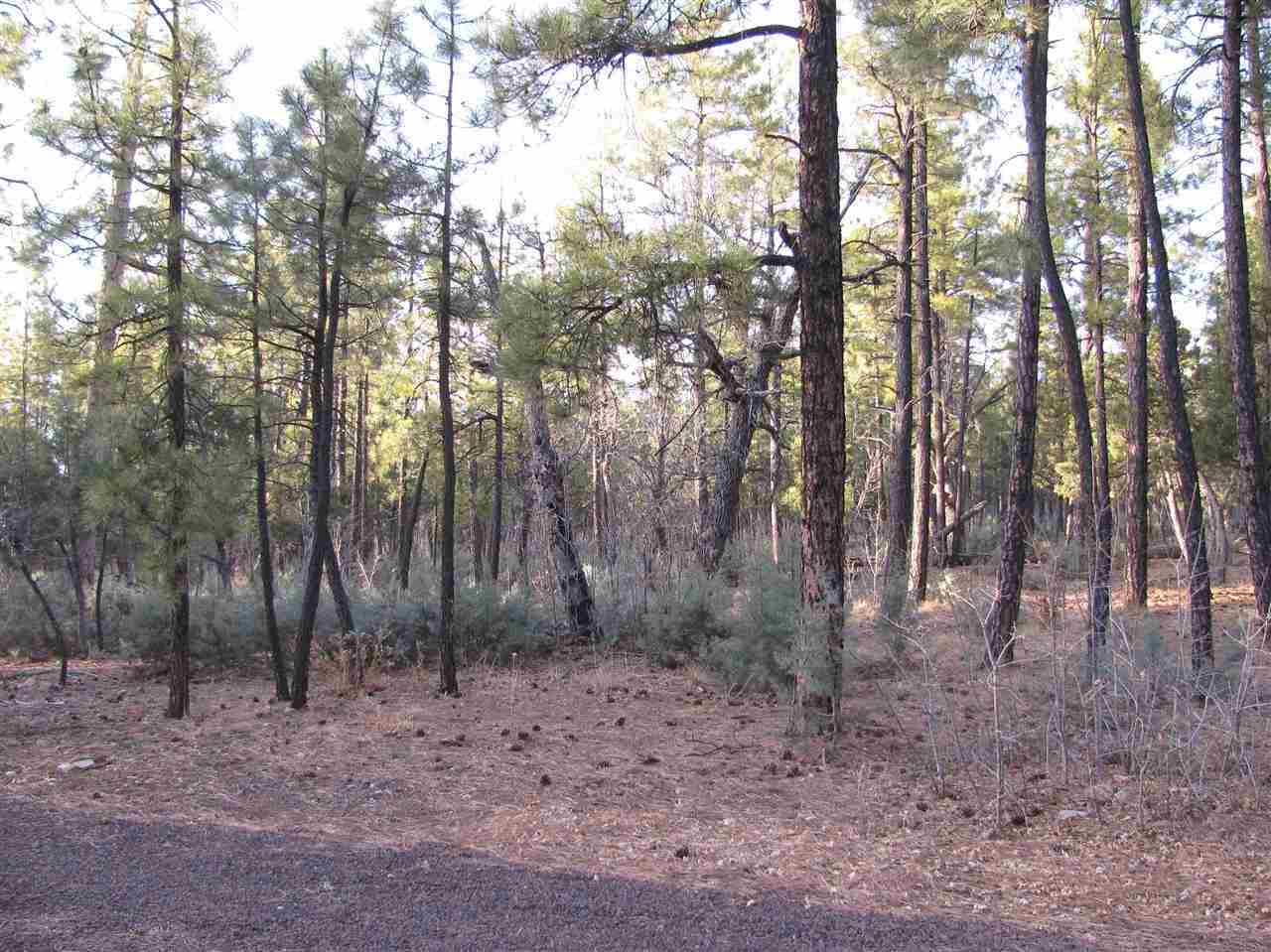 837 West Rim Road Pinetop, AZ 85935 - Photo 4 of 13 Gallery Image 4