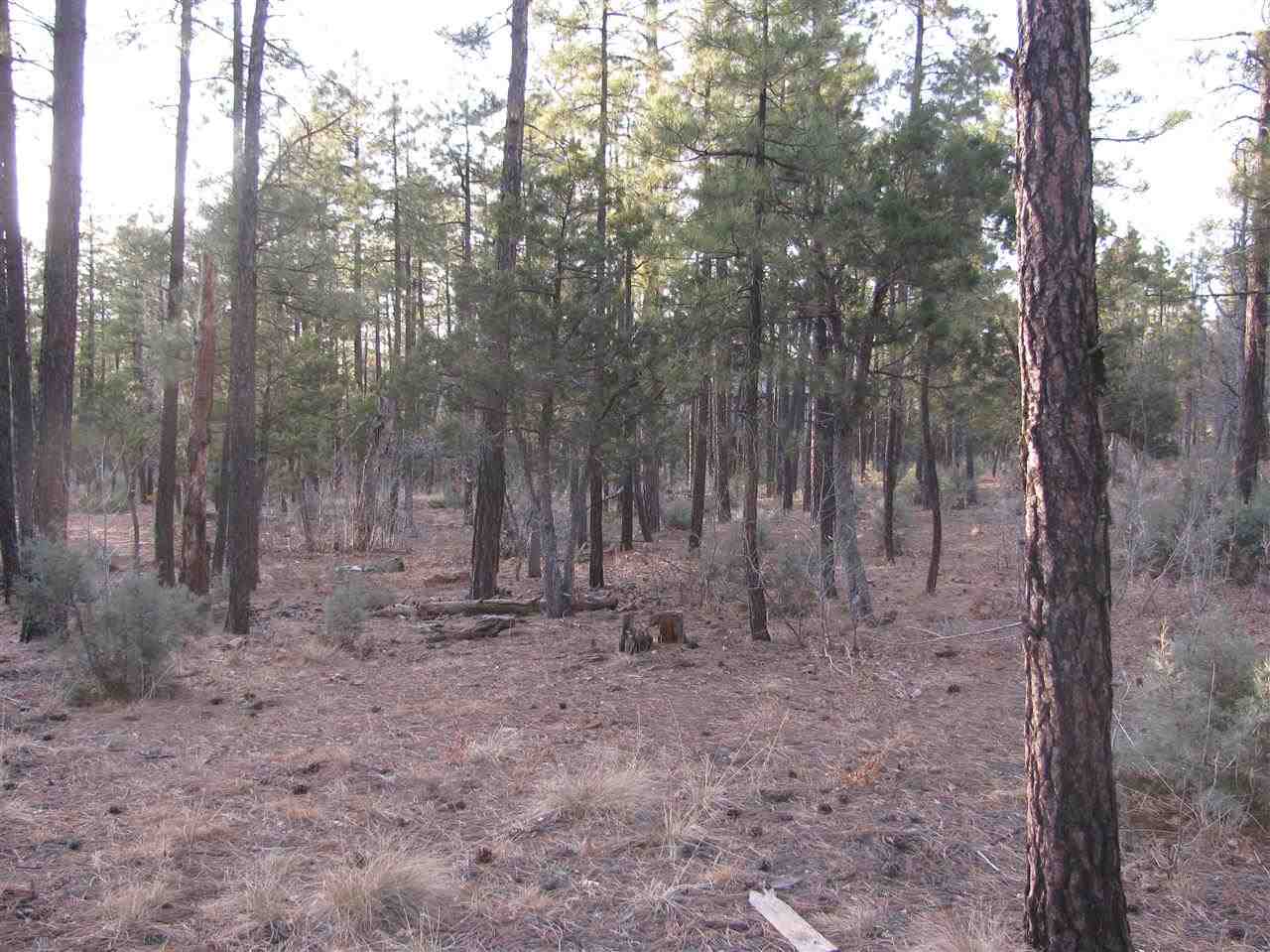 837 West Rim Road Pinetop, AZ 85935 - Photo 6 of 13 Gallery Image 6