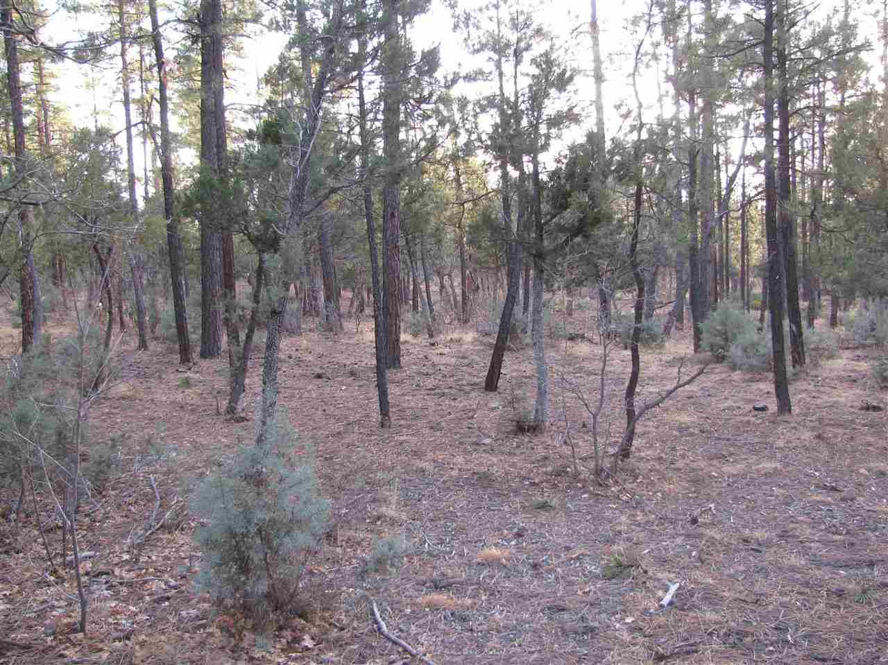 837 West Rim Road Pinetop, AZ 85935 - Photo 7 of 13 Gallery Image 7