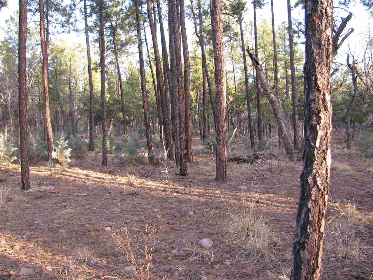 837 West Rim Road Pinetop, AZ 85935 - Photo 8 of 13 Gallery Image 8