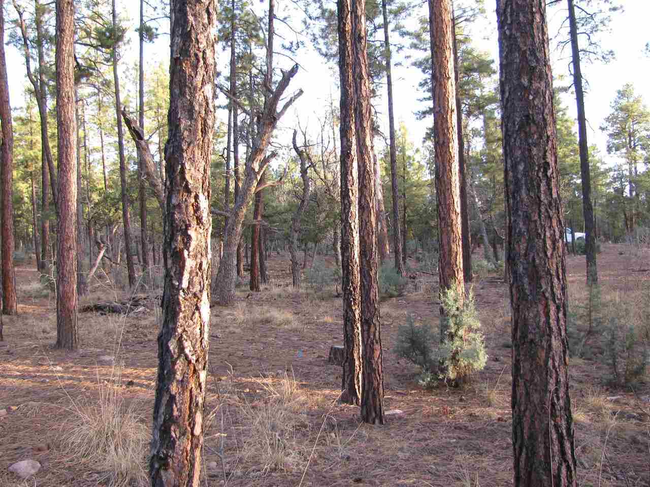 837 West Rim Road Pinetop, AZ 85935 - Photo 9 of 13 Gallery Image 9