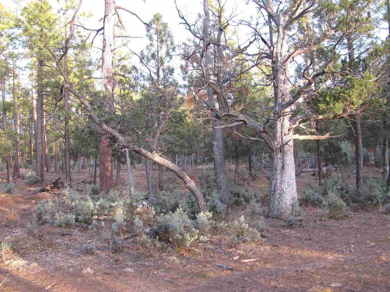 837 West Rim Road Pinetop, AZ 85935 - Photo 10 of 13 Gallery Image 10
