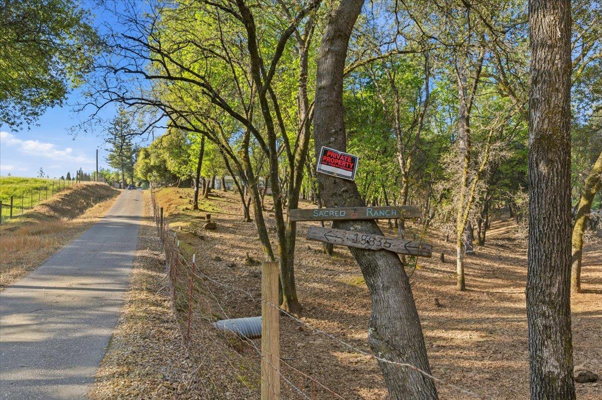 18835 Hilltop Road Penn Valley, CA 95946 - Photo 39 of 61