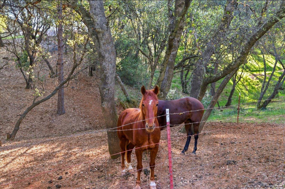 18835 Hilltop Road Penn Valley, CA 95946 - Photo 42 of 61