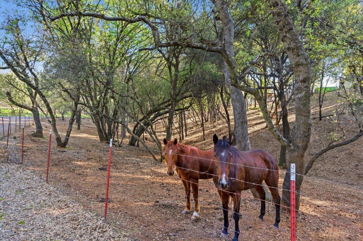 18835 Hilltop Road Penn Valley, CA 95946 - Photo 43 of 61