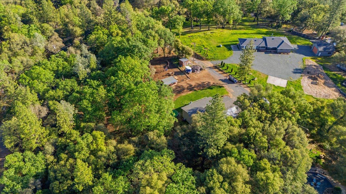 18835 Hilltop Road Penn Valley, CA 95946 - Photo 58 of 61