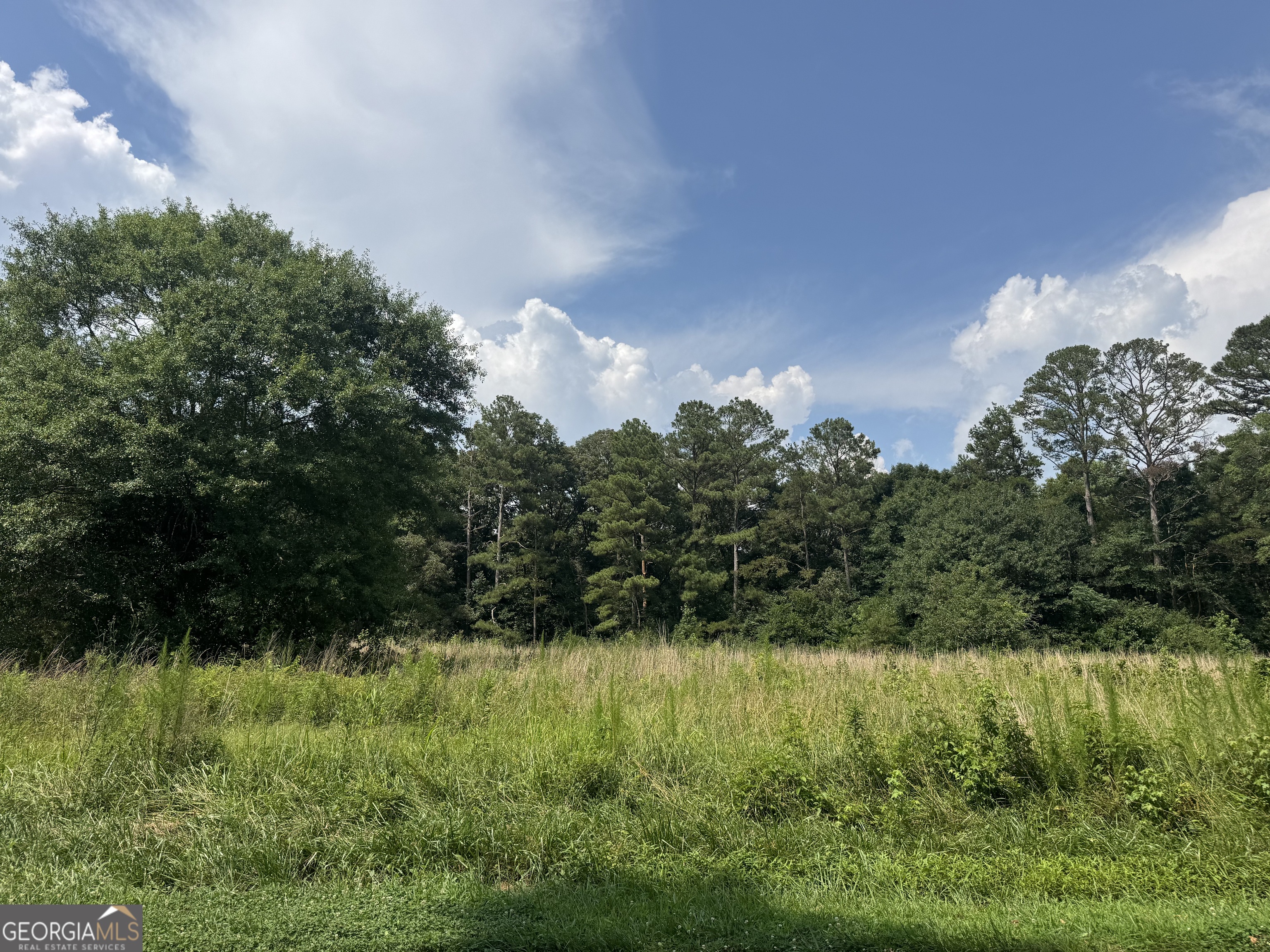 112 Melrose Road Bowdon, GA 30108 - Photo 14 of 17