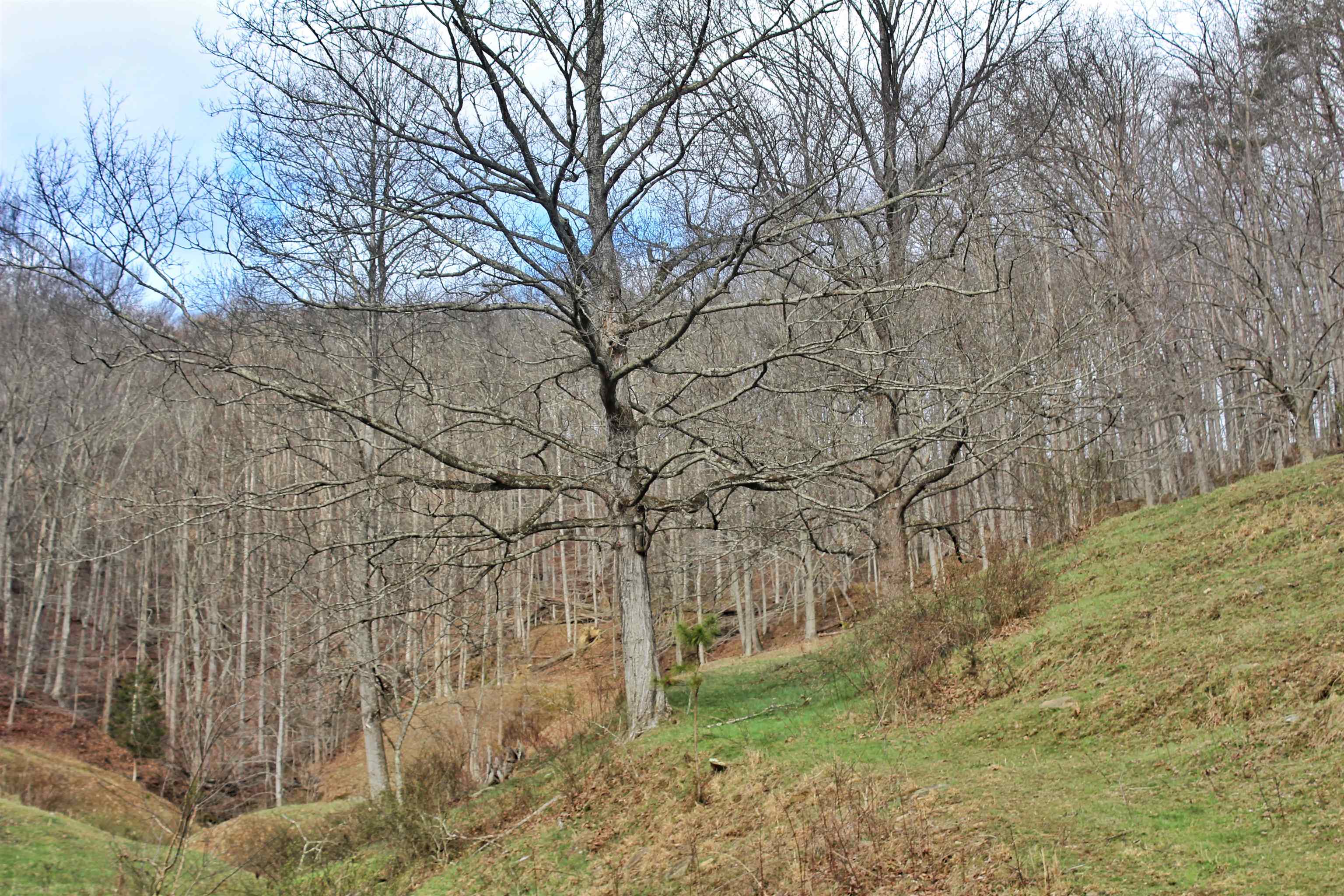 2811 Two Mile Creek Road Wayne, WV 25570 - Photo 16 of 31 Gallery Image 16