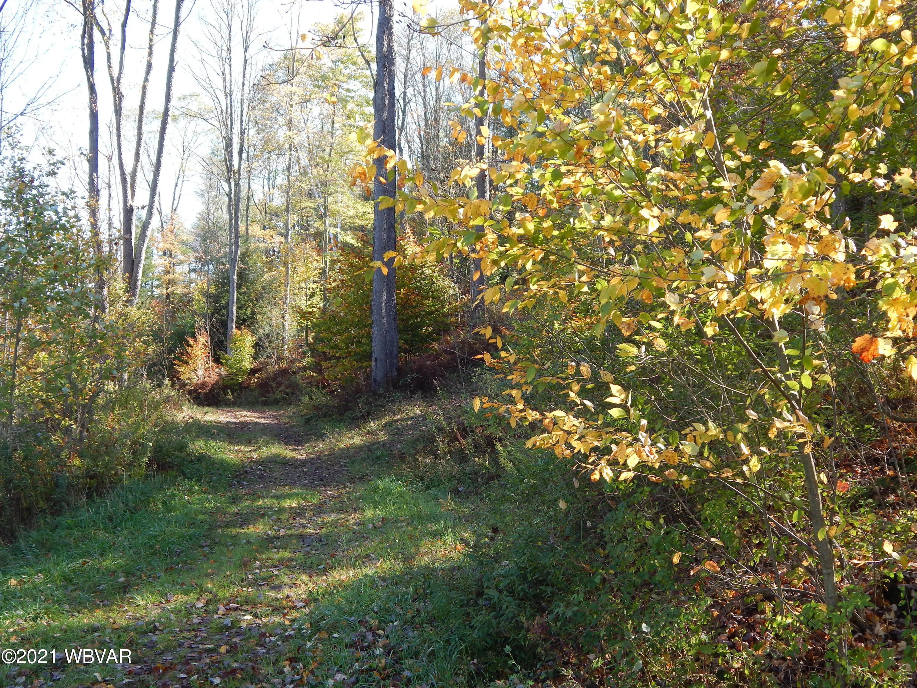 0 Cogan House Road, Unit LOT 2 Trout Run, PA 17771 - Photo 8 of 8 Gallery Image 8