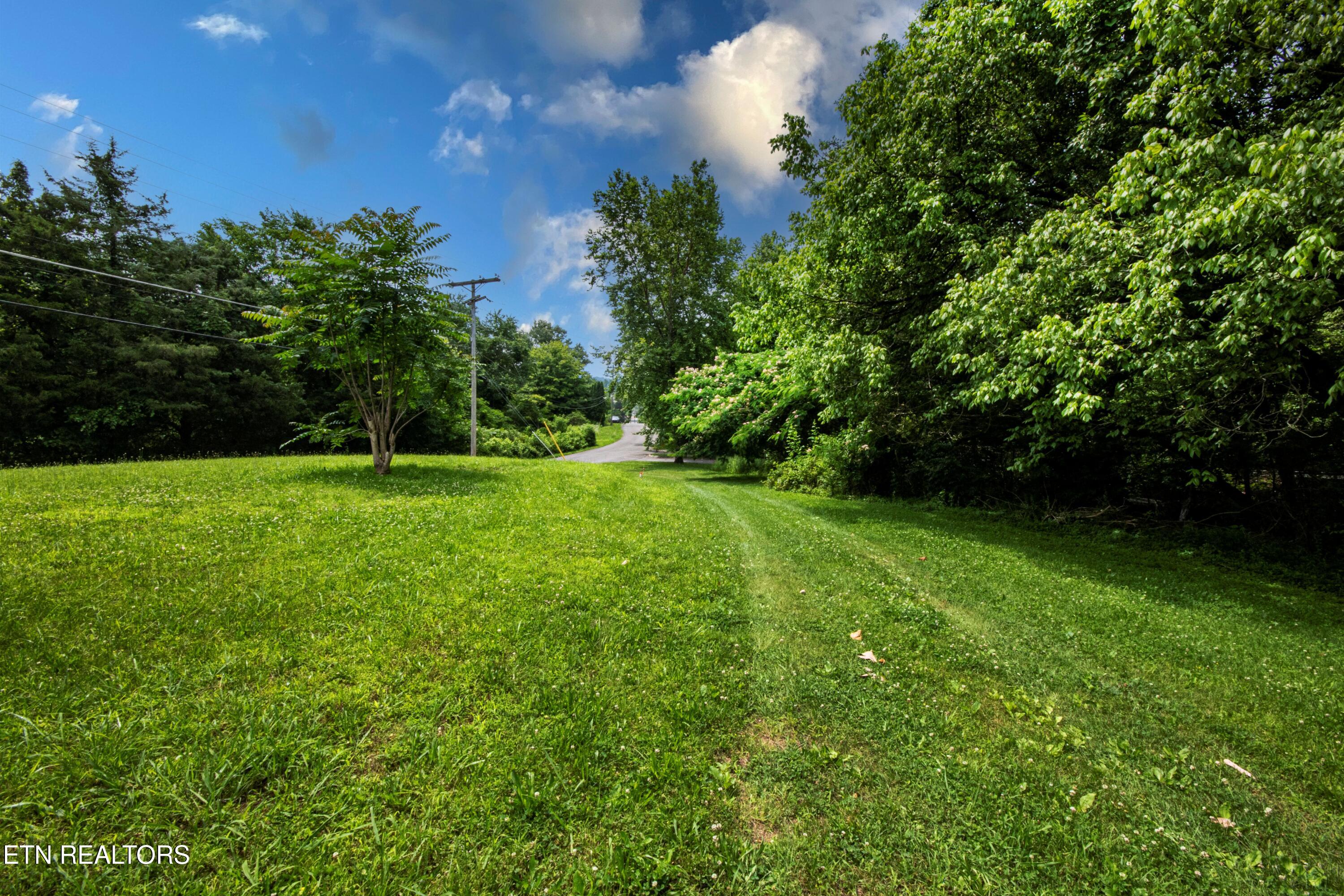 167 Strutt Street Oliver Springs, TN 37840 - Photo 11 of 33 V19A2565