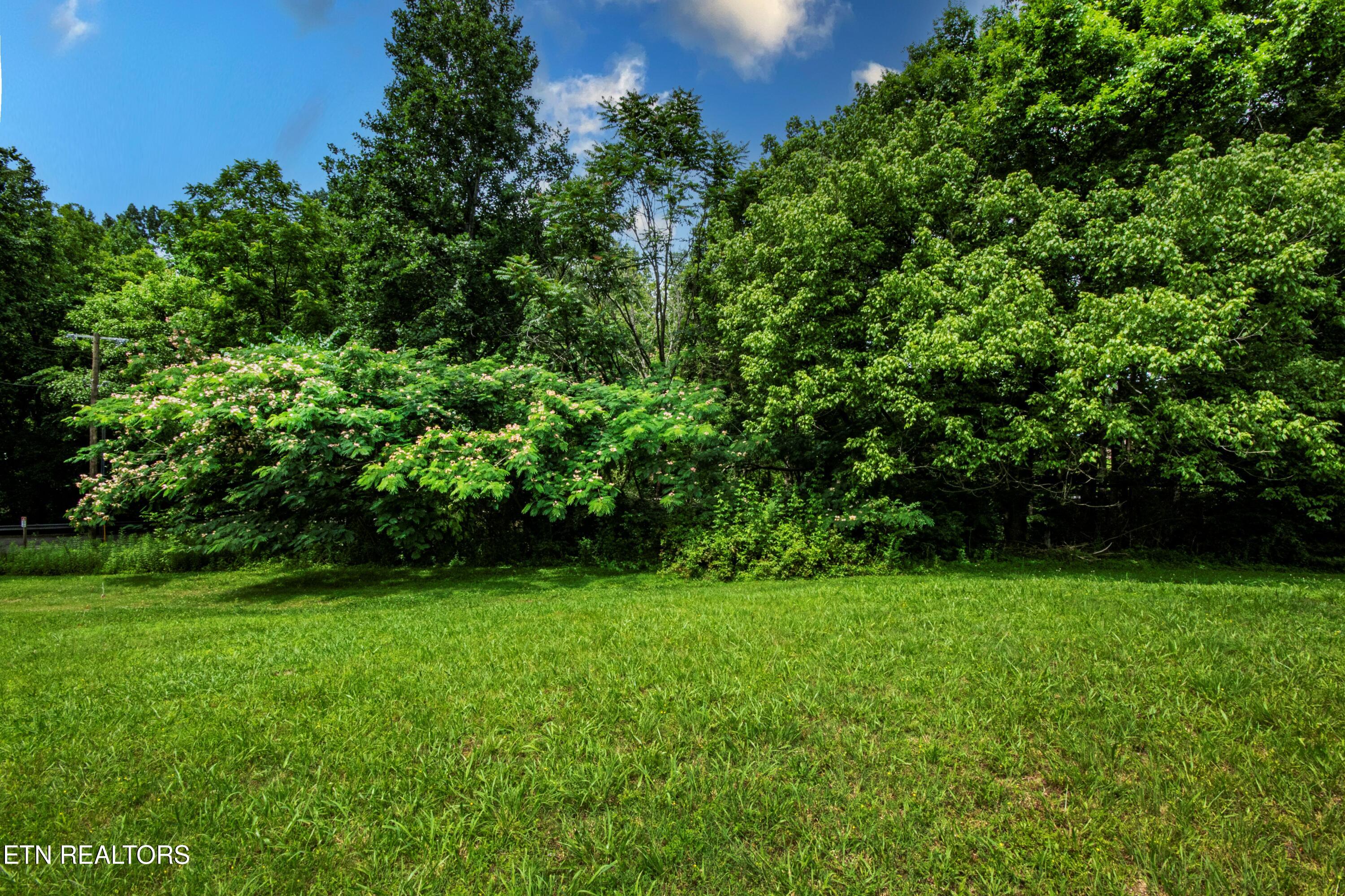 167 Strutt Street Oliver Springs, TN 37840 - Photo 12 of 33 V19A2567