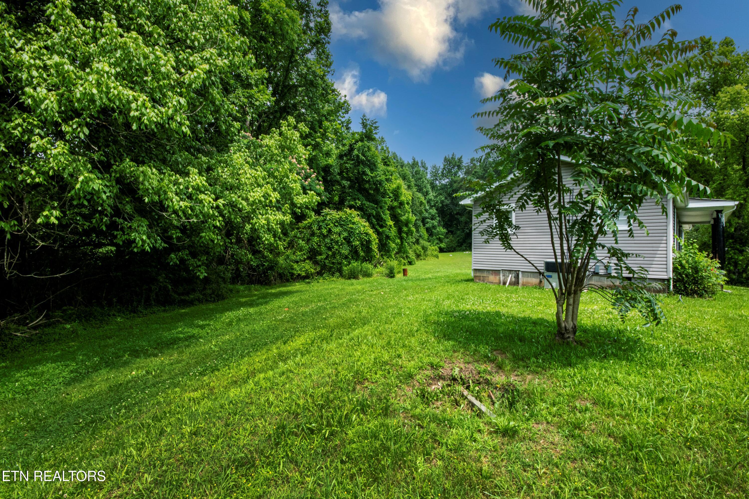 167 Strutt Street Oliver Springs, TN 37840 - Photo 4 of 33 V19A2569