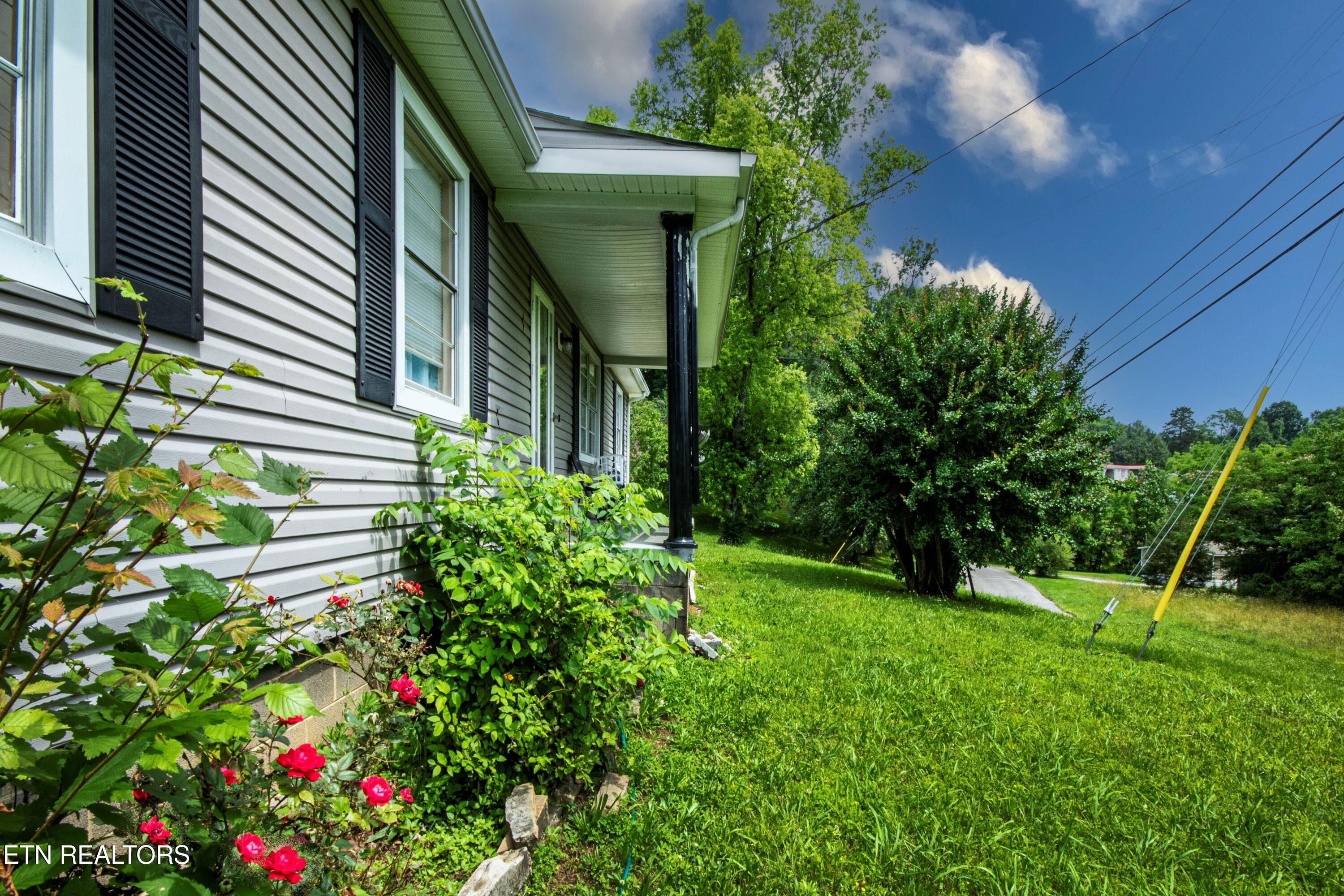 167 Strutt Street Oliver Springs, TN 37840 - Photo 5 of 33 V19A2570