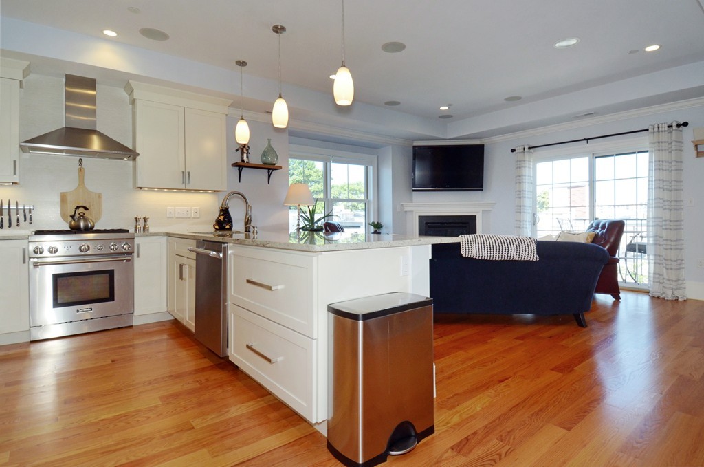 858 East 2nd Street, Unit 7 Boston, MA 02127 - Photo 2 of 30