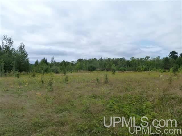Tbd 1 Red Rock Road, Unit JACOBSVILLE Lake Linden, MI 49945 - Photo 16 of 19