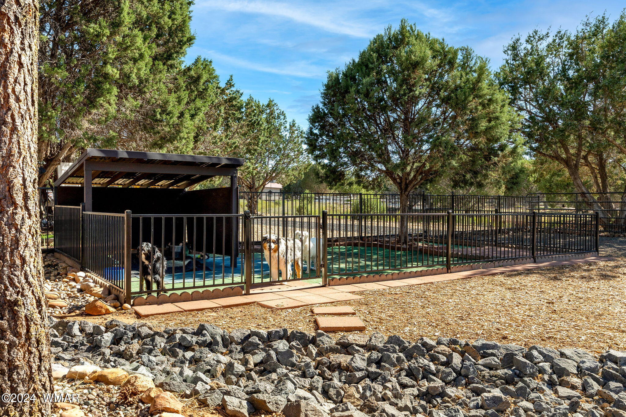 6780 Cheney Ranch Loop Show Low, AZ 85901 - Photo 39 of 46 Fenced in Dog Run with Covered Area