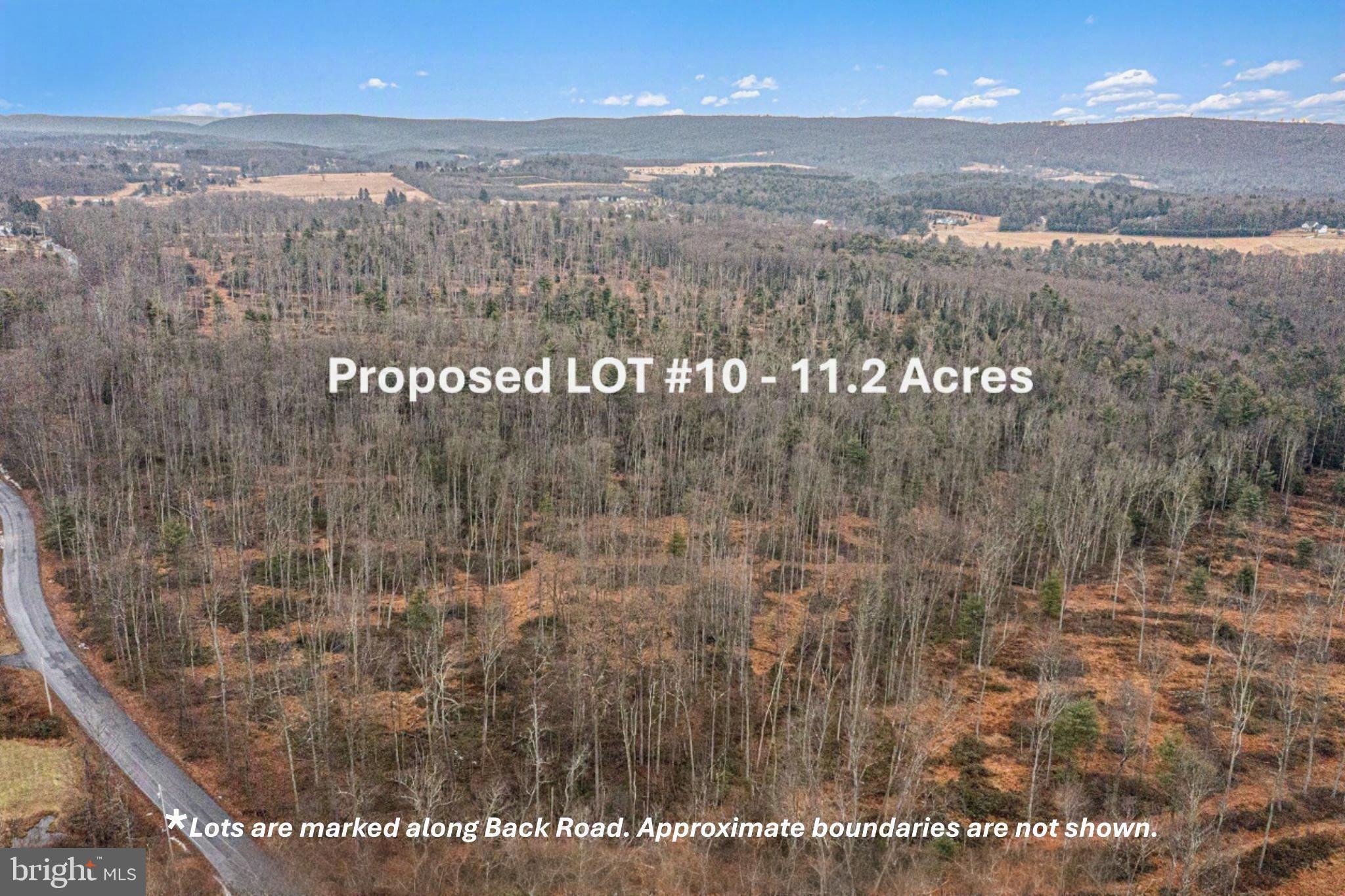 Lot 10 Back Road Barnesville, PA 18214 - Photo 1 of 1