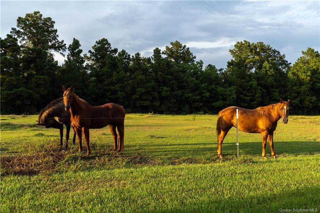 151 Shane Cormier Road Ragley, LA 70657 - Photo 25 of 30
