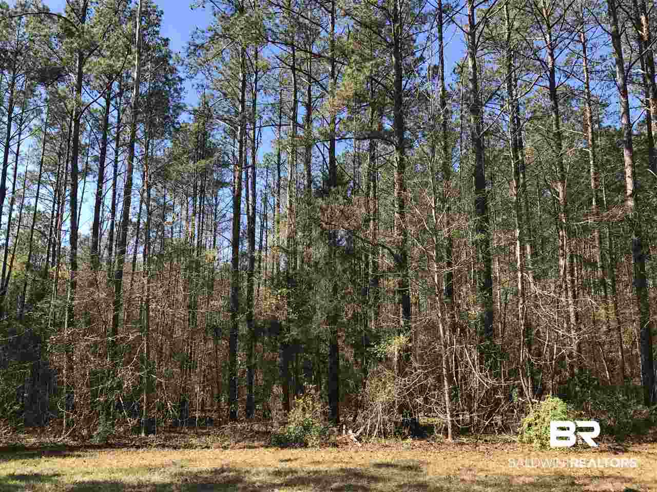 1478 Ridge Road Greenville, AL 36037 - Photo 29 of 50
