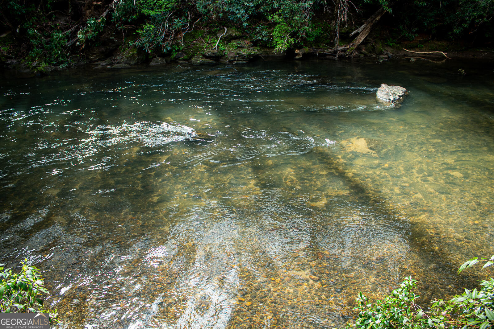 1088 Little Hawk Road Sautee Nacoochee, GA 30571 - Photo 17 of 59