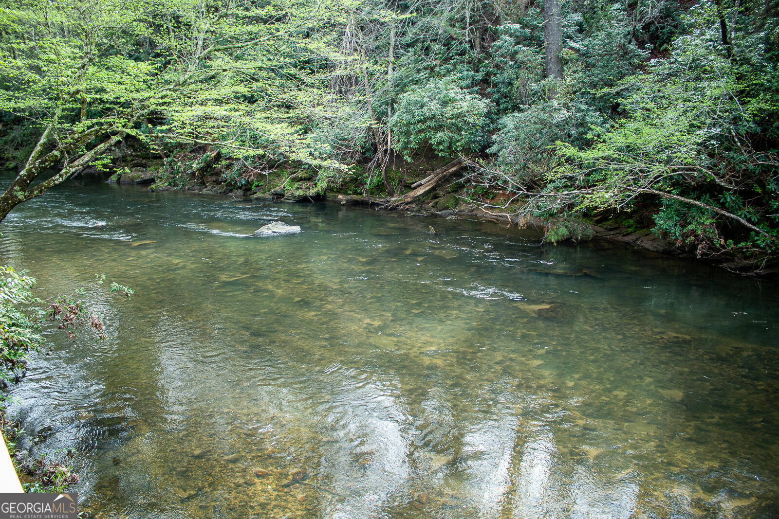 1088 Little Hawk Road Sautee Nacoochee, GA 30571 - Photo 18 of 59