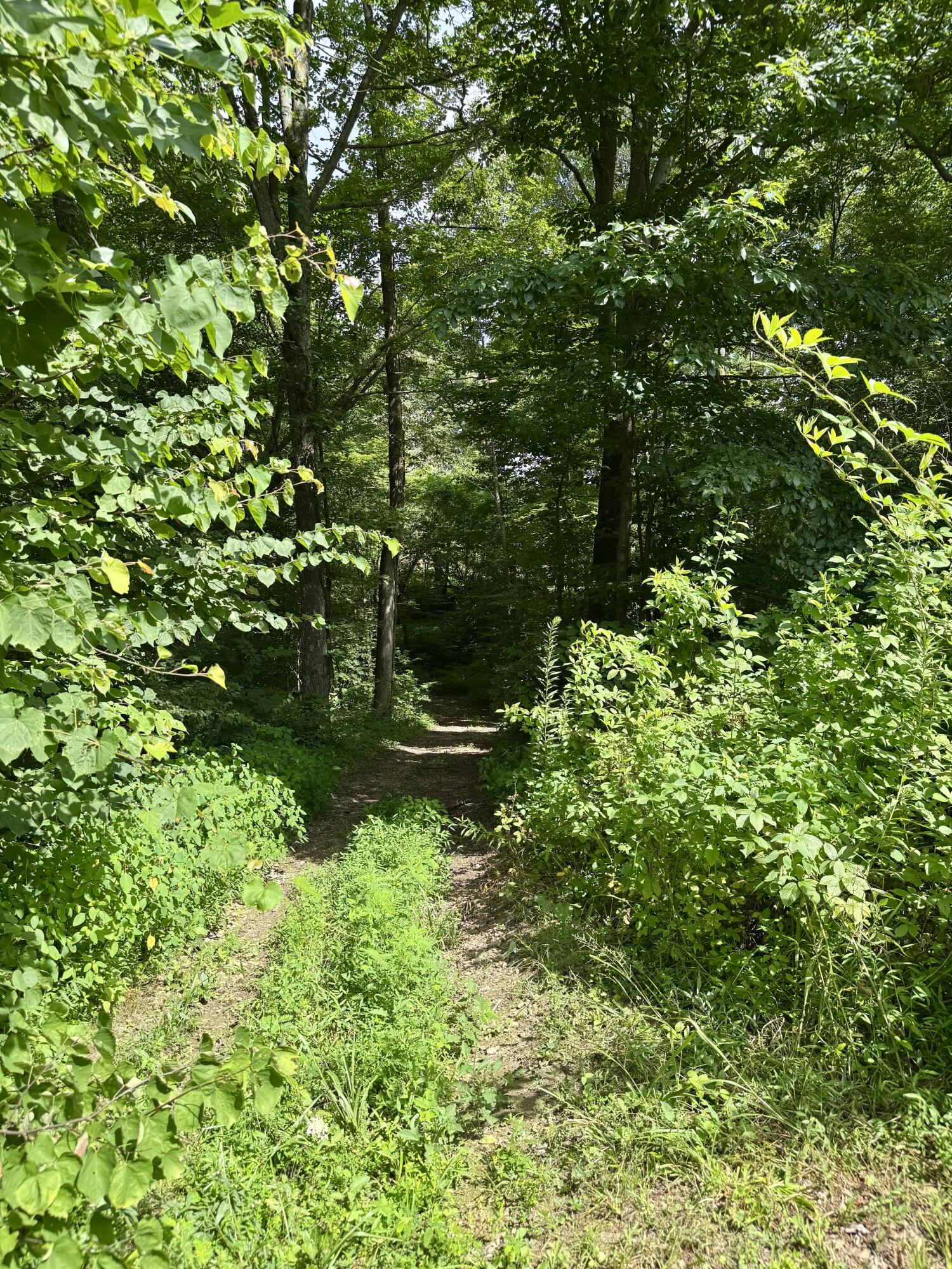 3280 Ewing Ridge Road Dunnville, KY 42528 - Photo 22 of 40 IMG_3989