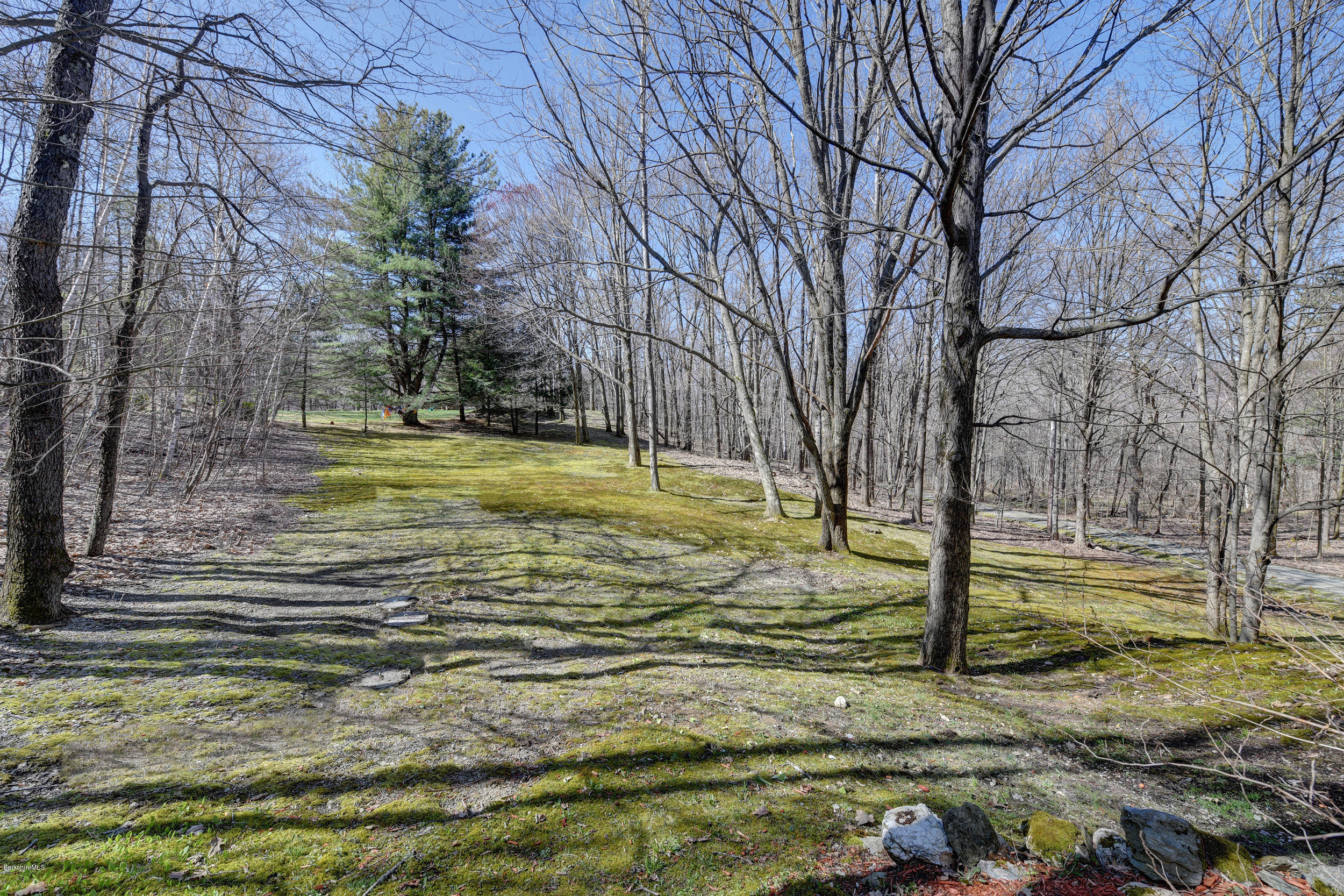 218 Whitman Road Hancock, MA 01267 - Photo 40 of 40 a view of a yard with trees