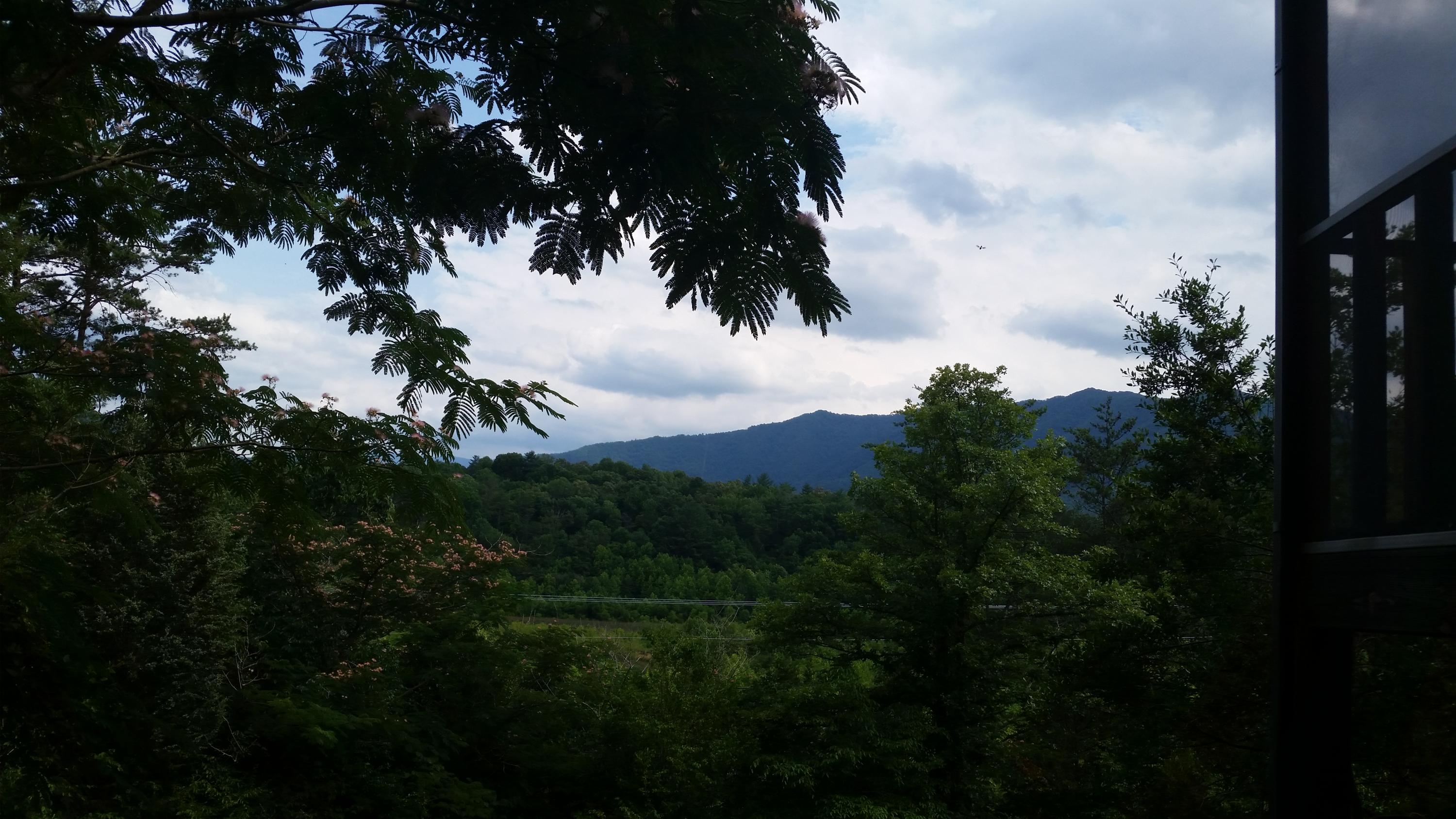 ReedsWay
