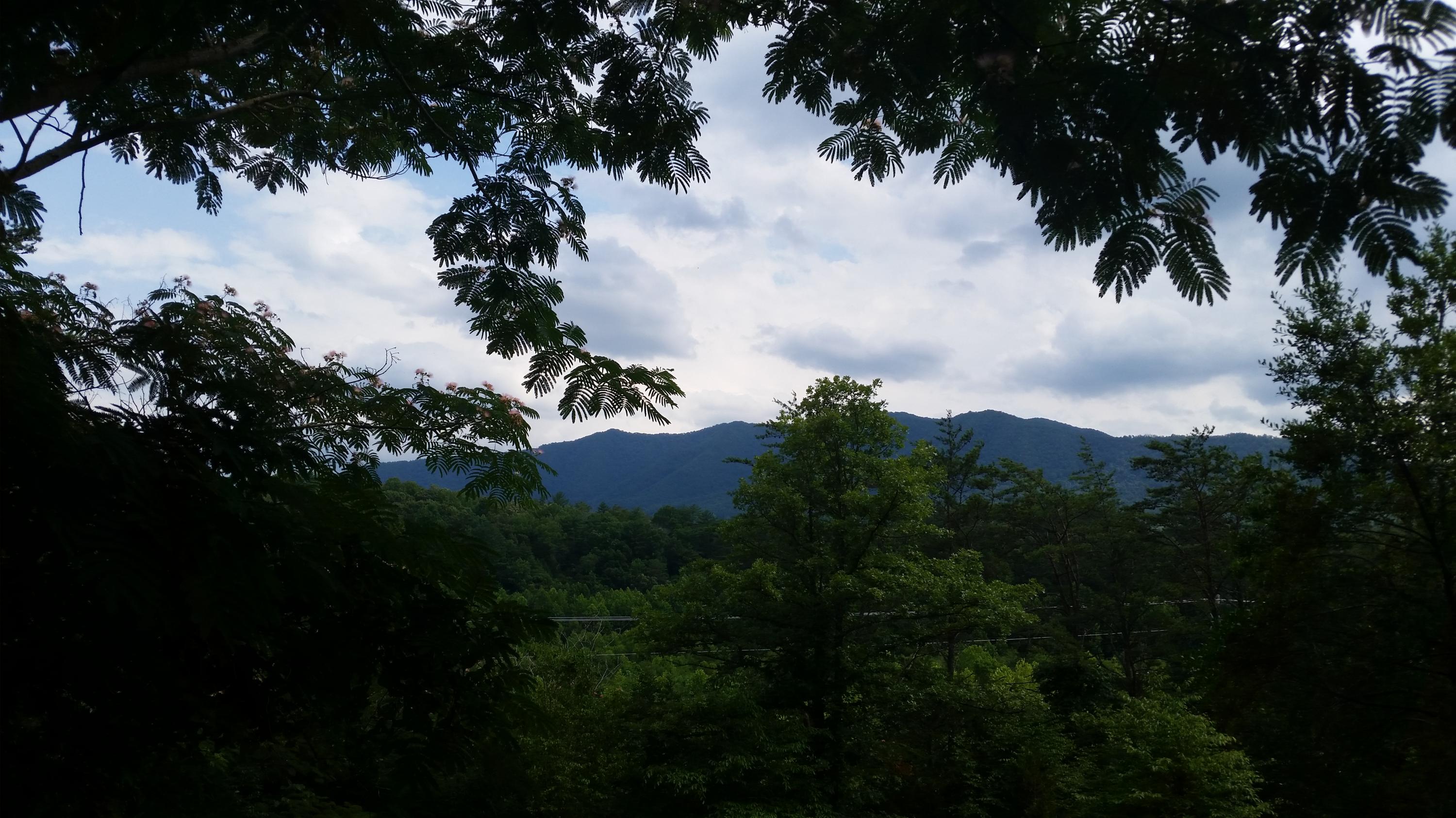 ReedsWay3