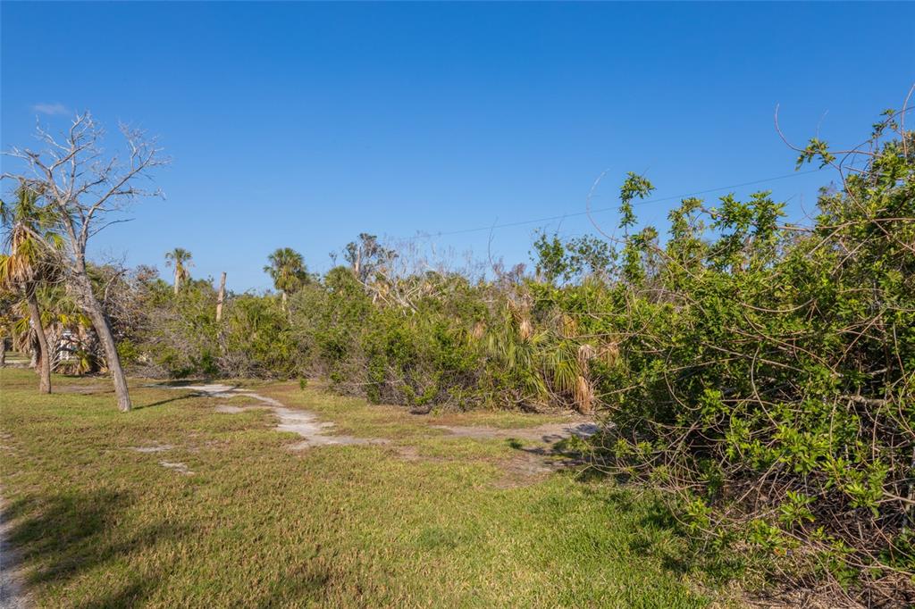 560 Gulf Bay Road Longboat Key, FL 34228 - Photo 28 of 38 a view of a field with an tree