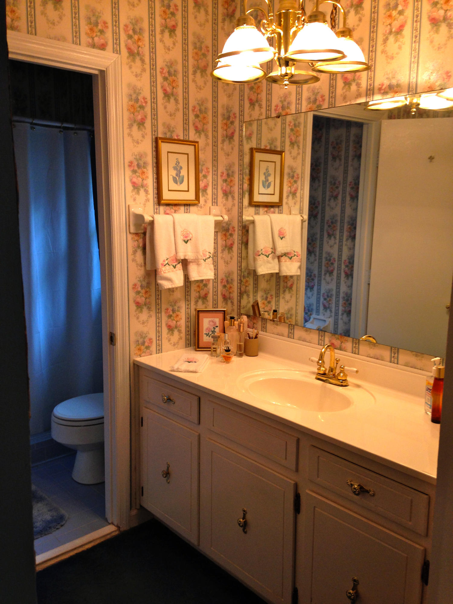 160 Foxborough Road Goose Creek, SC 29445 - Photo 13 of 24 13 - 160 Foxborough - master bath