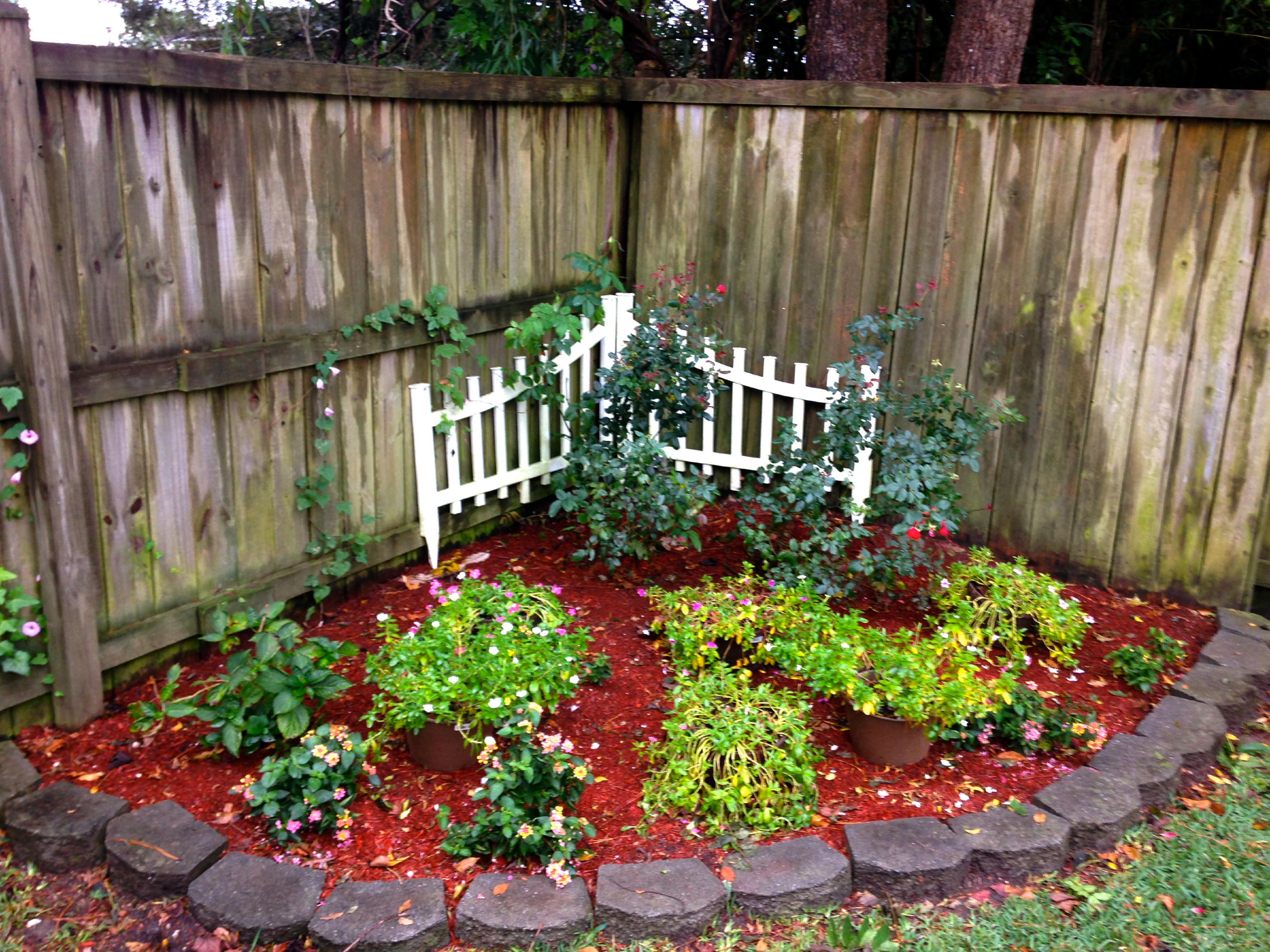 160 Foxborough Road Goose Creek, SC 29445 - Photo 17 of 24 17 - 160 Foxborough - flower bed