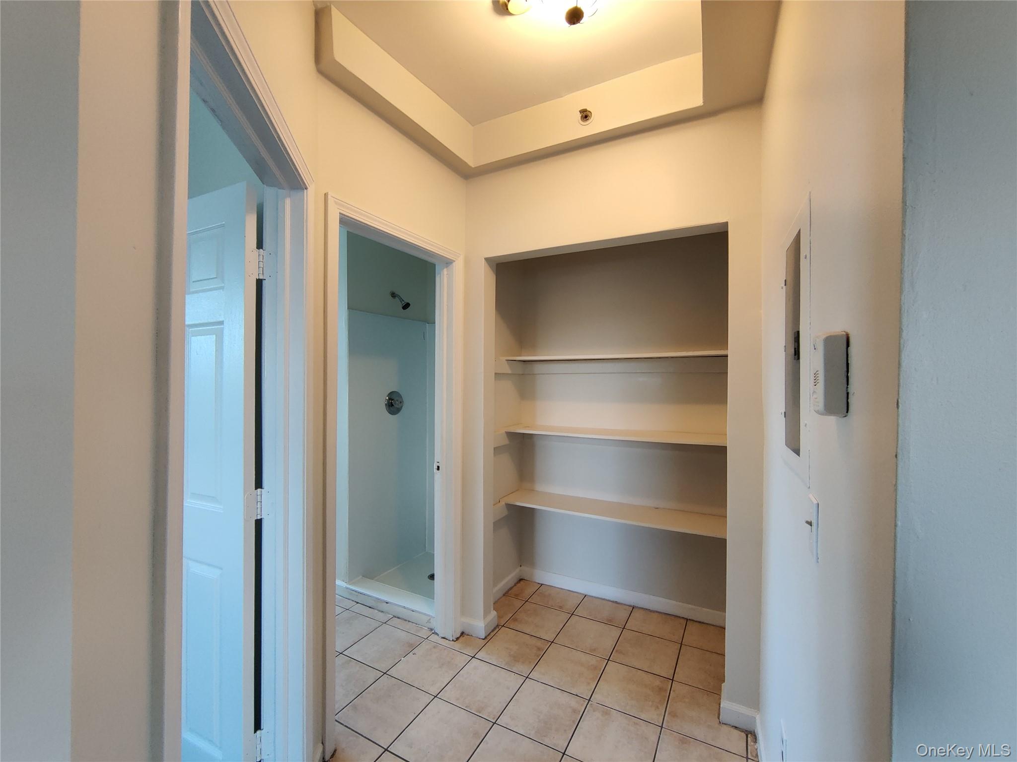 219 Mill Street, Unit 4 Poughkeepsie, NY 12601 - Photo 9 of 18 a view of walk in closet with empty racks